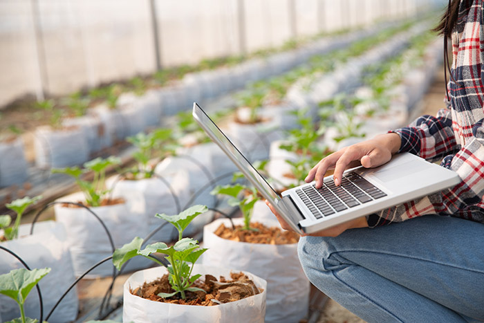 سیستم آبیاری هوشمند (Smart Irrigation System)
