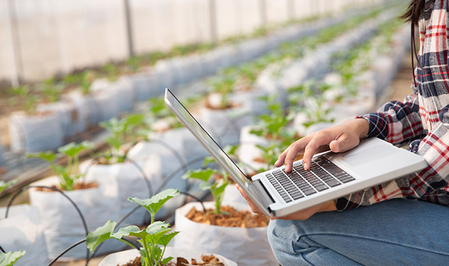 سیستم آبیاری هوشمند (Smart Irrigation System)
