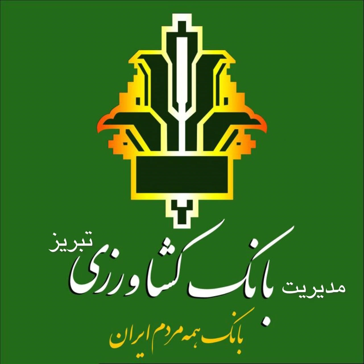 راه اندازی دستگیره های درب در پروژه مدیریت بانک کشاورزی تبریز