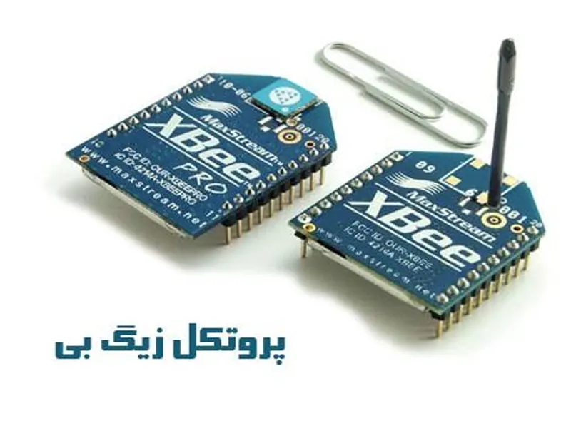 پروتکل زیگبی چیست