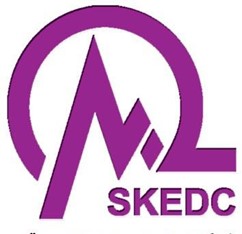 شرکت توزیع نیروی برق خراسان جنوبی