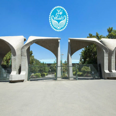 دانشگاه بزرگ تهران