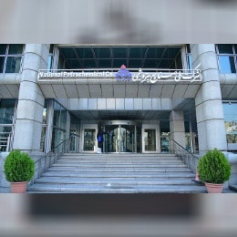 شرکت ملی صنایع پتروشیمی ایران