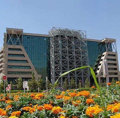 دانشگاه علوم پزشکی شیراز