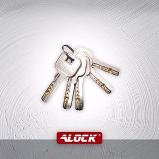 قفل حیاطی برقی ALOCK【مخصوص درب ورودی حیاط و پارکینگ】