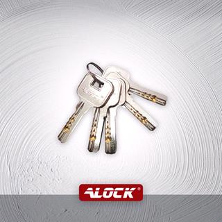 قفل حیاطی برقی ALOCK