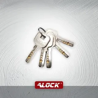 قفل حیاطی برقی ALOCK【مخصوص درب ورودی حیاط و پارکینگ】